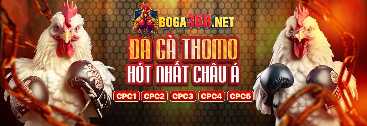 nn88 Trang Chủ Chính Thức: Phân Tích Đá Gà Độc Quyền & Ưu Đãi Hấp Dẫn!