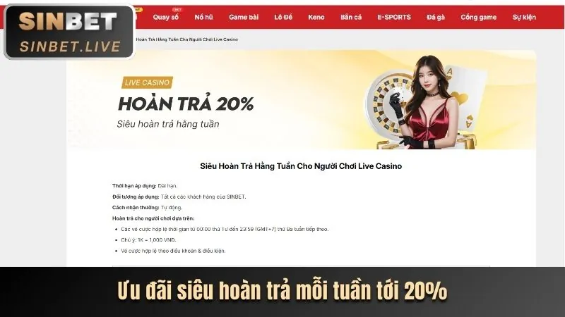 Cấp độ VIP Đồng của nn88